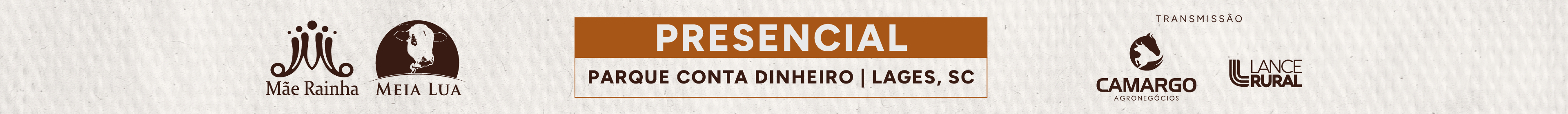 11º Leilão Identidade Cara Branca